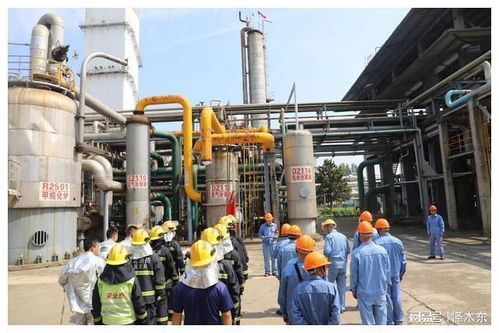 枝江消防联合湖北省化肥厂开展石油化工场所灾害事故处置实战演练