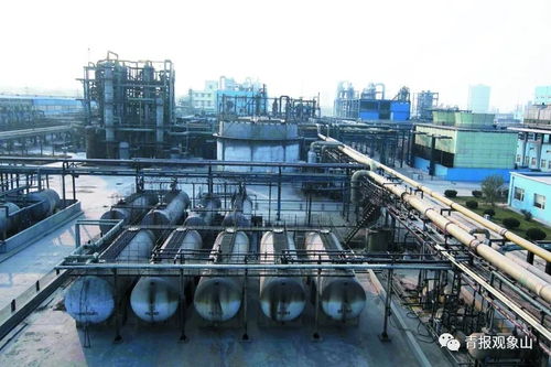 高大上 项目加持,胶州湾东岸这片区域将再次华丽绽放