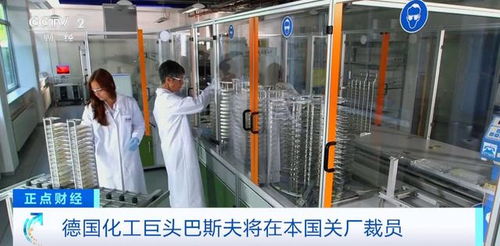 德国化工巨头巴斯夫将关闭两家工厂